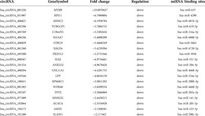 Screening and analysis of differentially expressed circRNAs and miRNAs in chronic diabetic extremity wounds